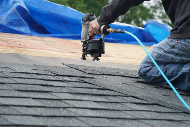 Best Roof Waterproofing Services  in Oakwood, IL